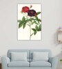 Floral Red Wood Framed Floral Art Print