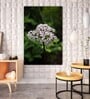 Floral Ariadne White Wood Framed Floral Art Print