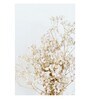 Tree White Wood Framed Floral Art Print