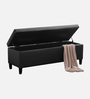 Florence Fabric Leathrette Storage Ottoman Ottoman in Black Colour