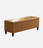 Florence Fabric Leathrette Storage Ottoman Ottoman in Camel Brown Colour