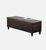 Florence Fabric Leathrette Storage Ottoman Ottoman in Dark Brown Colour