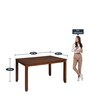 Floret 4 Seater Dining Set in Walnut Finish