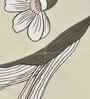 Florida 180 GSM Floral  Reversible All Season AC Comforter / Blanket / Quilt (Cream, 220x240 CM)