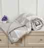 Florida 180 GSM Geometric Reversible All Season AC Comforter / Blanket / Quilt (Tan, 220x240 CM)
