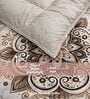 Beige Digital Goose Down Filling Reversible 230 GSM Double Bed AC Comforter