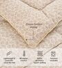 Camel Goose Down Filling 230 GSM Double Bed AC Comforter With Minimal Print