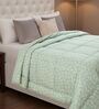 Green Minimal Print Goose Down Filling 230 GSM Double Bed AC Comforter