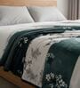 Brown Double Printed Flannel 230 GSM AC Blanket