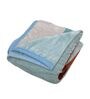 Aqua Printed Flannel Blanket Double Bed Ultra Soft 250 GSM Lightweight AC Blanket