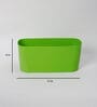 Plastic Green Planter