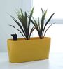 Plastic Yellow Planter