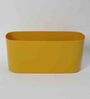 Plastic Yellow Planter