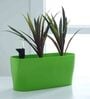 Plastic Green Planter