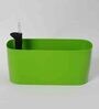 Plastic Green Planter