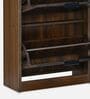 Florine 3 Tier Shoe Cabinet in Walnut & Wenge Finish