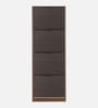 Florine 4 Tier Tilt Out Shoe Rack in Walnut and Wenge Finish