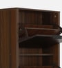 Florine 4 Tier Tilt Out Shoe Rack in Walnut and Wenge Finish