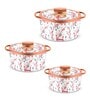 Florra  Red Plastic & Steel Thermoware Casserole (Set of 3)