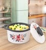 Florra Blue Plastic & Steel Thermoware Casserole (Set of 3)