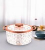 Florra Grey  Plastic & Steel thermoware 1500ML Casserole