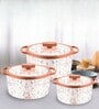 Florra Grey  Plastic & Steel Thermoware Casserole (Set of 3)