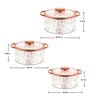 Florra Grey  Plastic & Steel Thermoware Casserole (Set of 3)