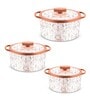 Florra Grey  Plastic & Steel Thermoware Casserole (Set of 3)