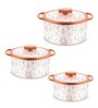 Florra Grey  Plastic & Steel Thermoware Casserole (Set of 3)