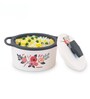 Florra Grey 5000ML Plastic & Steel Thermoware Casserole