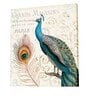 22 Inches Peacock with Feather Canvas Stretched Wall Art Painting