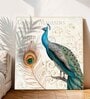 22 Inches Peacock with Feather Canvas Stretched Wall Art Painting