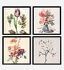 Themmercialie Orange Engineered Wood Framed Floral Art Print Set of 4