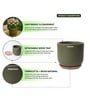 (1Pc) Olive Terracotta Plant Pot
