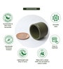 (1Pc) Olive Terracotta Plant Pot