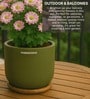 (1Pc) Olive Terracotta Plant Pot