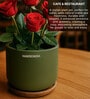 (1Pc) Olive Terracotta Plant Pot