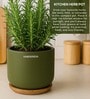 (1Pc) Olive Terracotta Plant Pot