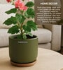 (1Pc) Olive Terracotta Plant Pot