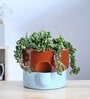 Flower Sunflower  Terracota Blue Ceramic Planter