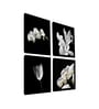 Flower White Engineered Wood Framed Floral Art Print Set of 4