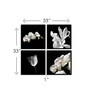 Flower White Engineered Wood Framed Floral Art Print Set of 4