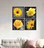 Floral Yellow Engineered Wood Framed Floral Art Print Set of 4