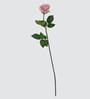 Rose Pink Flower Stick