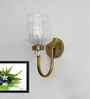 Fluted Clear Tulip Glass Wall Sconce
