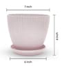 Fluted Dome Plastic Planter with Tray Pink