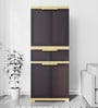 Fmdr1C Plastic 2 Door  Cabinet in Brown Colour