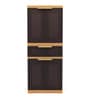 Fmdr1C Plastic 2 Door  Cabinet in Brown Colour