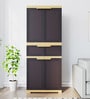 Fmdr1C Plastic 2 Door  Cabinet in Brown Colour