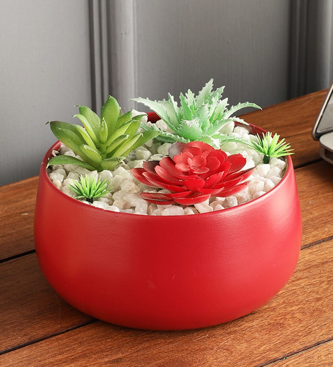 Buy Plastic Alys Multicolour Succulents Artificial Plant at 17 OFF by
